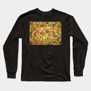 autumn season foliage Long Sleeve T-Shirt